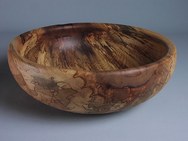 Buchenschale stockig